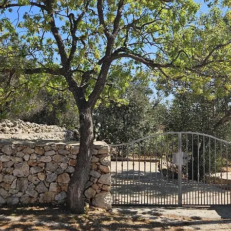 Foresta Leuca By Lovesud